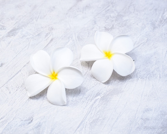 Hair clip plumeria Set of 2 pc Realistic hawaiian flower Bridal hair flower Tropical hair clip Floral clay jewelry
