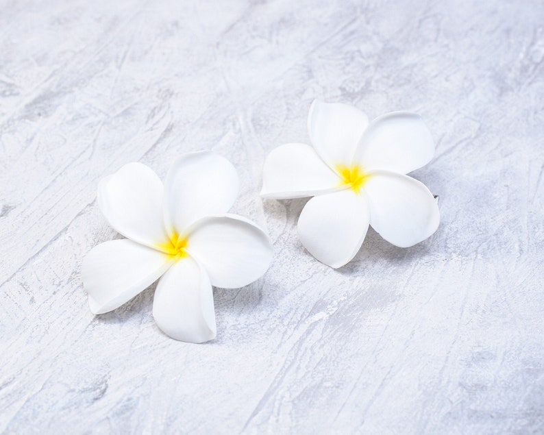 May include: Two white plumeria flowers with yellow centers on a white textured background.