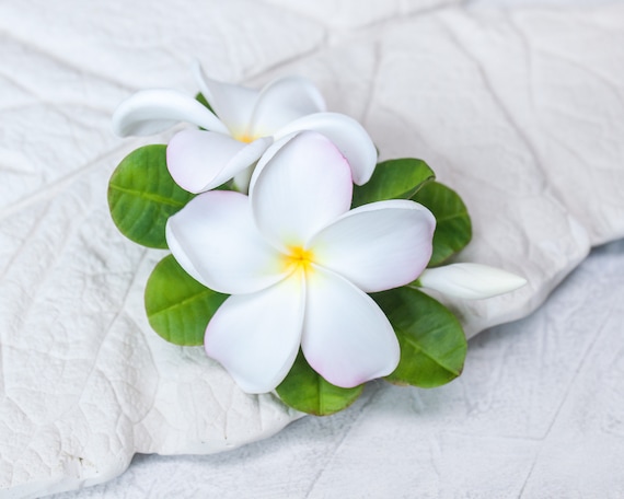 Hair clip plumeria Realistic hawaiian flower Bridal hair flower Tropical hair clip Floral clay jewelry