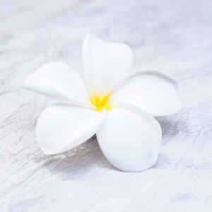 May include: A single white plumeria flower with a yellow center, lying on a light gray textured surface.