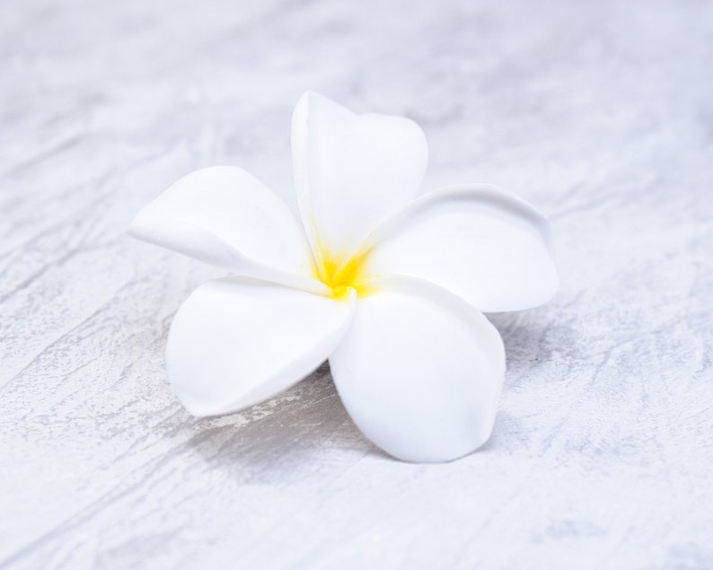 May include: A single white plumeria flower with a yellow center, lying on a light gray textured surface.