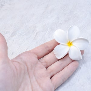 May include: A white plumeria flower with a yellow center, resting in the palm of a hand.