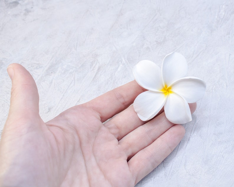 May include: A white plumeria flower with a yellow center, resting in the palm of a hand.