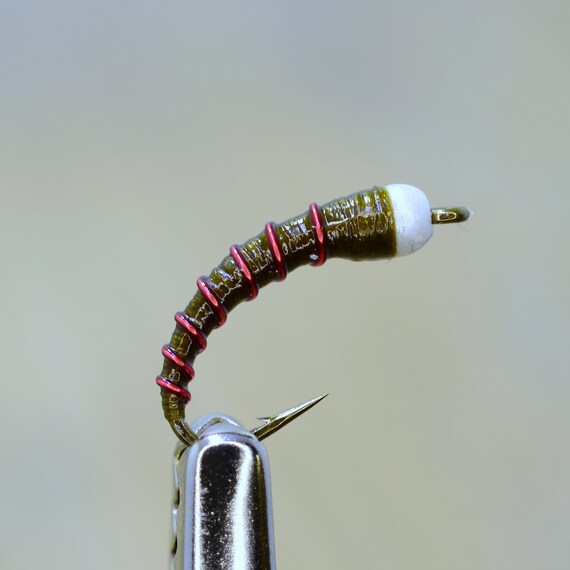 3 x OLIVE SHRIMP WET TROUT FLIES sizes 10,12 available