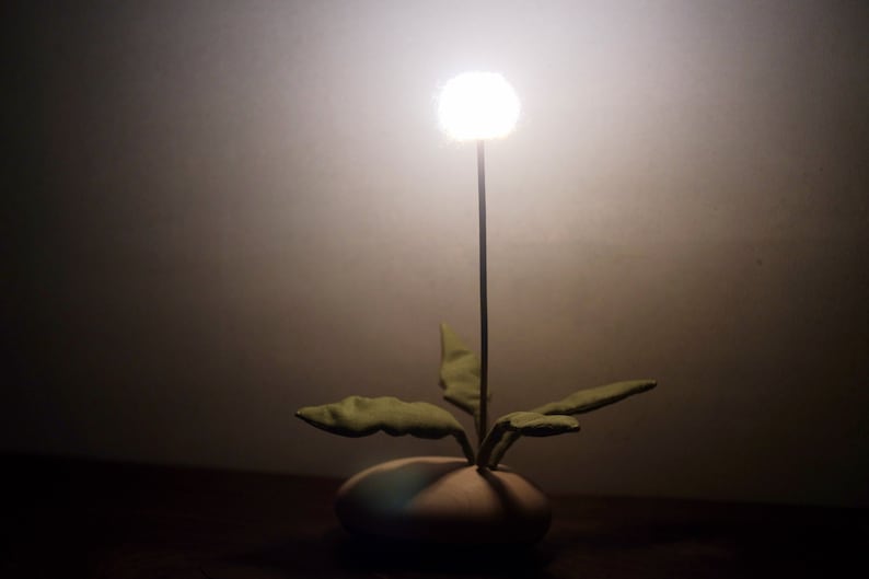 The Dandelion Interactive Lighting Wood Lighting Night Light image 6