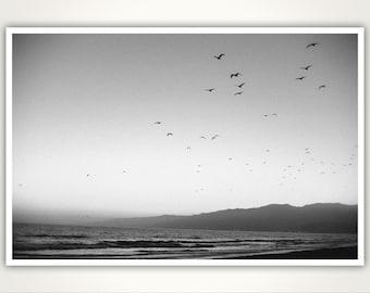FLOCKERS | Birds in the mist Wall Art. Black & White foggy Santa Monica beach sunset; a flock fly over Pacific Ocean from California hills.