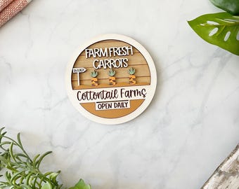 Carrot Farm Mini Sign – Cottontail Farms Easter Tiered Tray Decor