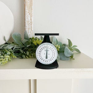 May include: A black and white vintage kitchen scale with a white face and black numbers. The scale is on a white shelf with green plants.