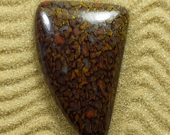 Nice Dinosaur Bone Cabochon Cut by Greta Schneider