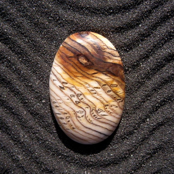 Hell's Canyon Petrified Wood Cab - Herringbone Sequoia