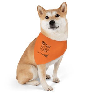 100% that Witch Pet Bandana Collar, Halloween Dog Neck Scarf, Witchy Dog Bandanna, Dog Collar Accessory, Dog Halloween Costume