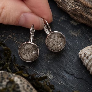 May include: A pair of silver-toned leverback earrings featuring circular cabochons with a speckled gray and black pattern. The earrings have a polished metal frame and a smooth, rounded surface that displays a textured, stone-like appearance.