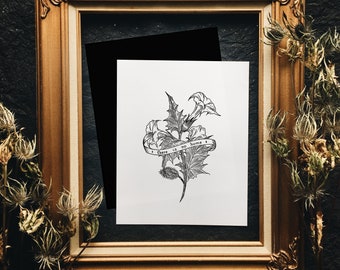 POISON DATURA - devil's trumpet, thornapple, botanical fine art print