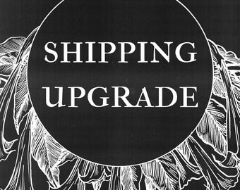 Shipping Upgrade