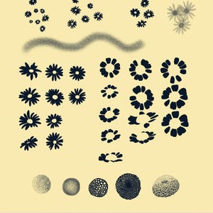 Procreate Daisy Brush Pack - 32 Stempel/Pinsel