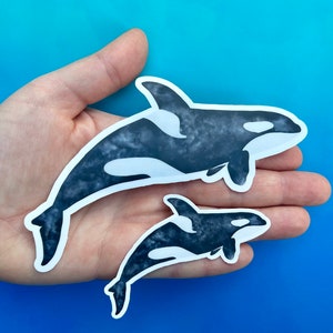 Orca sticker, whale stickers, cute stickers for water bottles, waterproof stickers, hand drawn art stickers, watercolor whale, orca gifts
