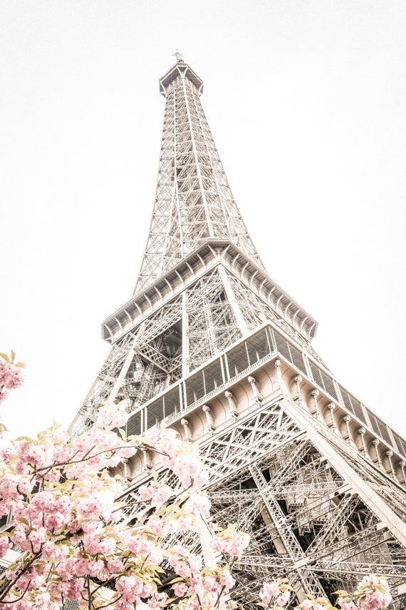 Eiffel Tower Cherry Blossom Art Print, Paris Wall Decor