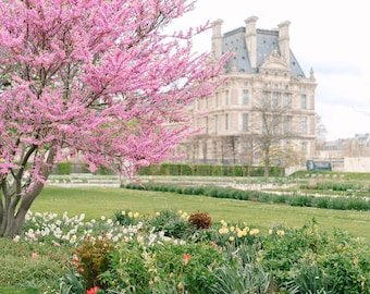 Paris Photography Print – Louvre Museum, Spring Blossoms