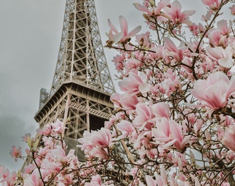 Paris Photography - Magnolia Blossoms at the Eiffel Tower, Spring in Paris, Travel Fine Art Photograph, Large Wall Art, Gallery Wall