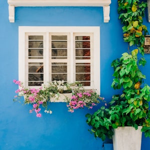 Cartagena Colombia Photography, Colorful Door and Flowers, Colonial Photo, Wall Art, Fine Art Photography, Large Wall Art, Blue Door