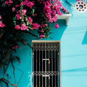 Cartagena Colombia Fine Art, Colorful Door and Flowers, Colonial Photo, Wall Art, Fine Art Photography, Large Wall Art, Blue Door