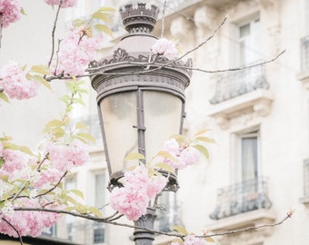 Paris Cherry Blossom Photography – French Spring Fine Art Print
