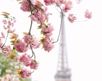 Eiffel Tower Cherry Blossom Print – Paris Spring Photography