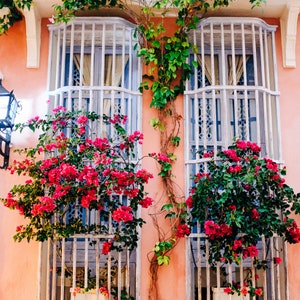 Cartagena Colombia Fine Art, Peachl Door and Flowers, Colonial Photo, Wall Art, Fine Art Photography, Large Wall Art, Bougainvillea