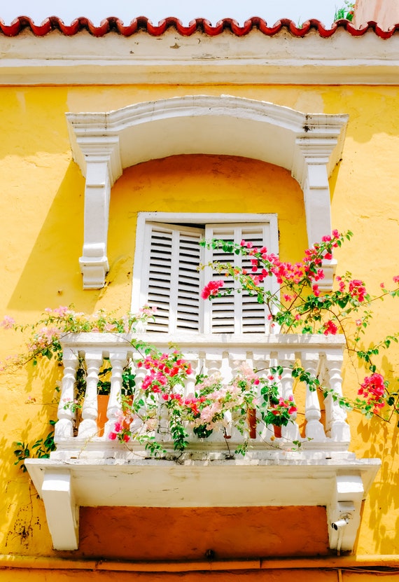 Cartagena Colombia Fine Art Colorful Door And Flowers Etsy