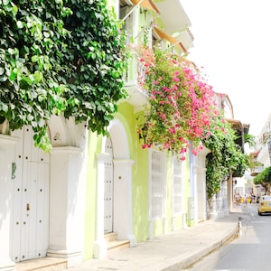 Cartagena Colombia Photography, Colorful Door and Flowers, Colonial Photo, Wall Art, Fine Art Photography, Large Wall Art
