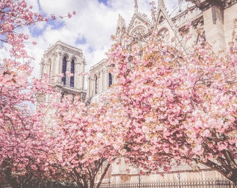 Notre Dame Cherry Blossoms Photography – Paris Spring Wall Art