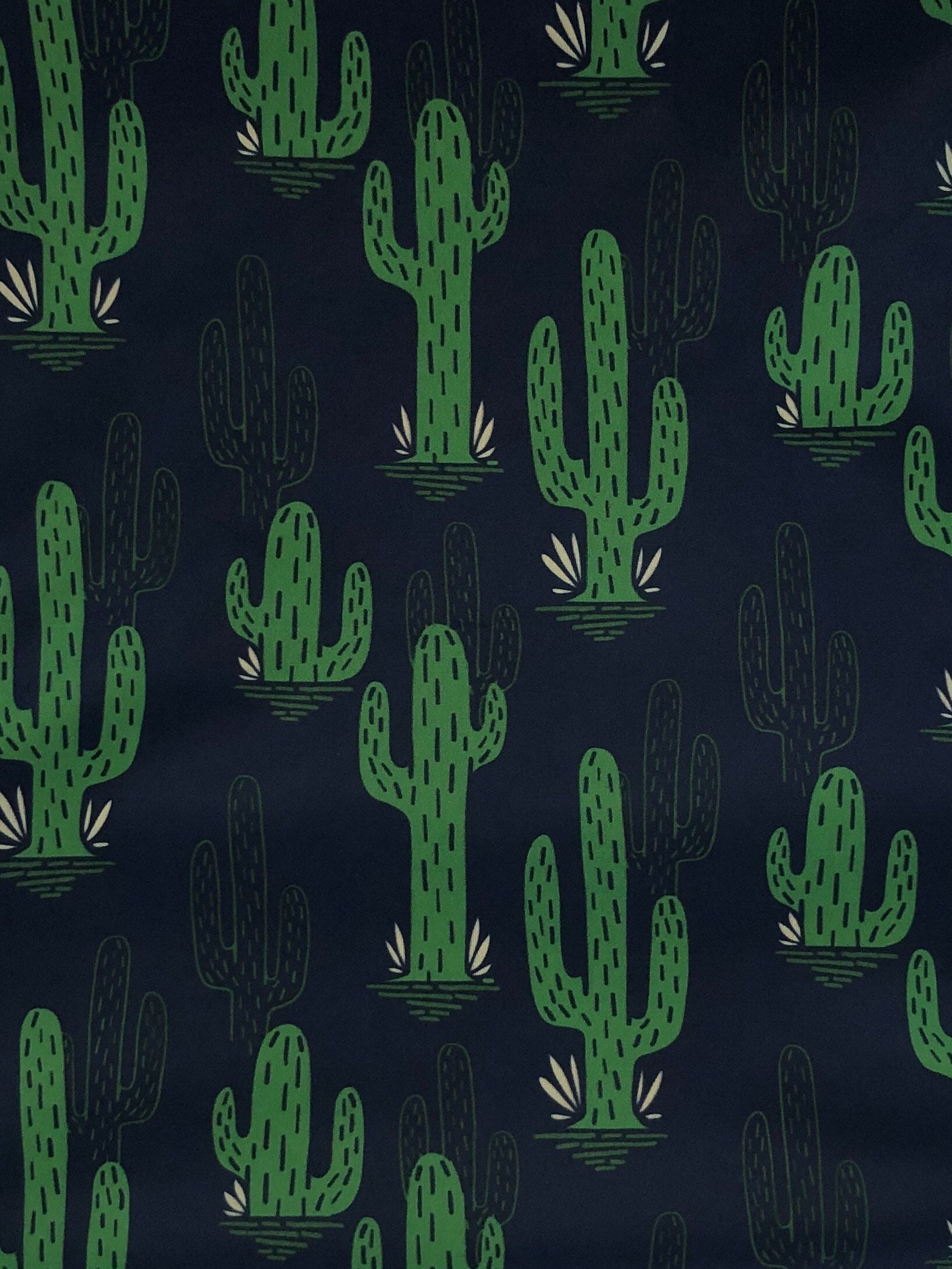wet cactus wet cactus album download wet cactus wet cactus album download