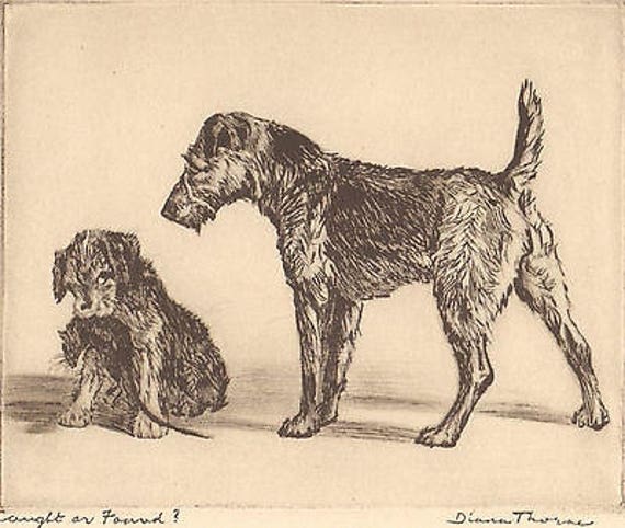DIANA THORNE/'S Terrier/'s /"CAUGHT OR FOUND /" Vintage 1935 Dog Bookplate Art Print
