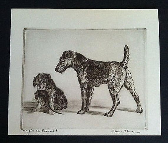 DIANA THORNE/'S Terrier/'s /"CAUGHT OR FOUND /" Vintage 1935 Dog Bookplate Art Print