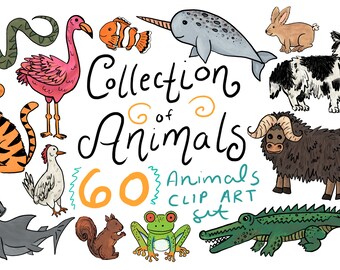 Rainforest Clipart Etsy Rainforest Clipart Etsy