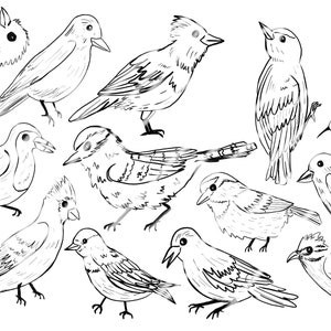 Black and White Bird Clip Art Hand Drawn Clip Art Bird Clip - Etsy