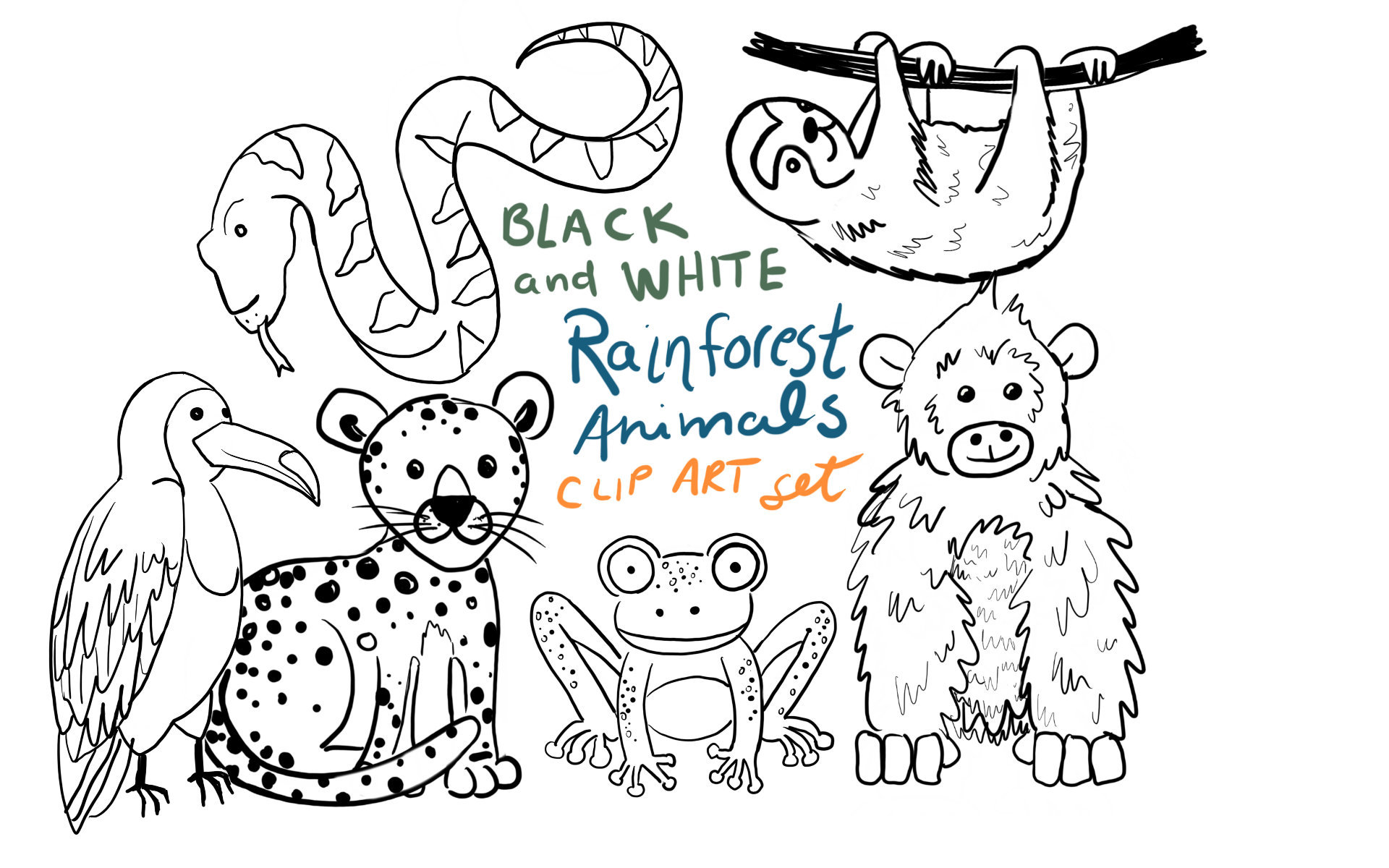 Black and White Doodle Rainforest Animals, Rainforest Animal Clip Art