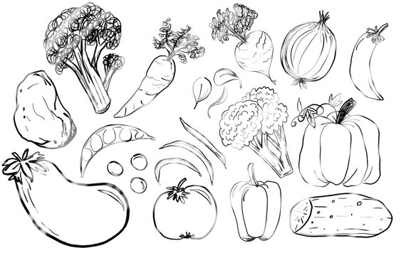 Vegetables And Fruits Clipart Black And White