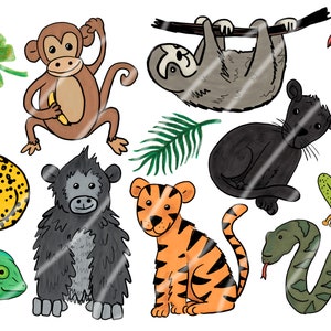 Hand Drawn Rainforest Animal clip art animal clipart | Etsy