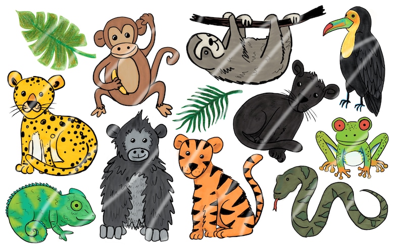 Hand Drawn Rainforest Animal Clip Art, Animal Clipart, Rainforest ...