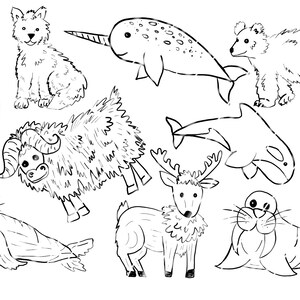 Black and White Animal Clip Art hand drawn animal clip art | Etsy