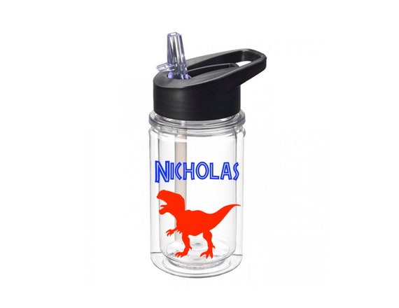 kids dinosaur water bottle
