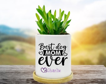 Personalized Planter Pot for DOG Mom, Planter for Flowers,Mother's Day Gift for Mom, Birthday Gift for Her, Planter for Her,Mother's Day POT