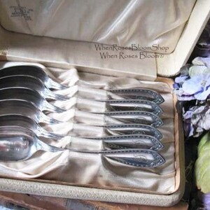 May include: A set of silver spoons in a cream-colored box. The spoons are arranged neatly on a satin-like fabric. The box is open, revealing the spoons and the interior lining. The text "When Roses Bloom Shop" is visible.