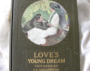 Vintage Green Book Love's Young Dream  1907  Edwardian Romantic Poetry Decorative Cover Artwork Library Decor Gift WhenRosesBloom
