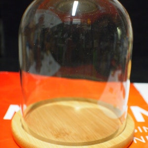 5.5" x 6.5" Dome Glass Display with Bamboo Wood Base for Decoration