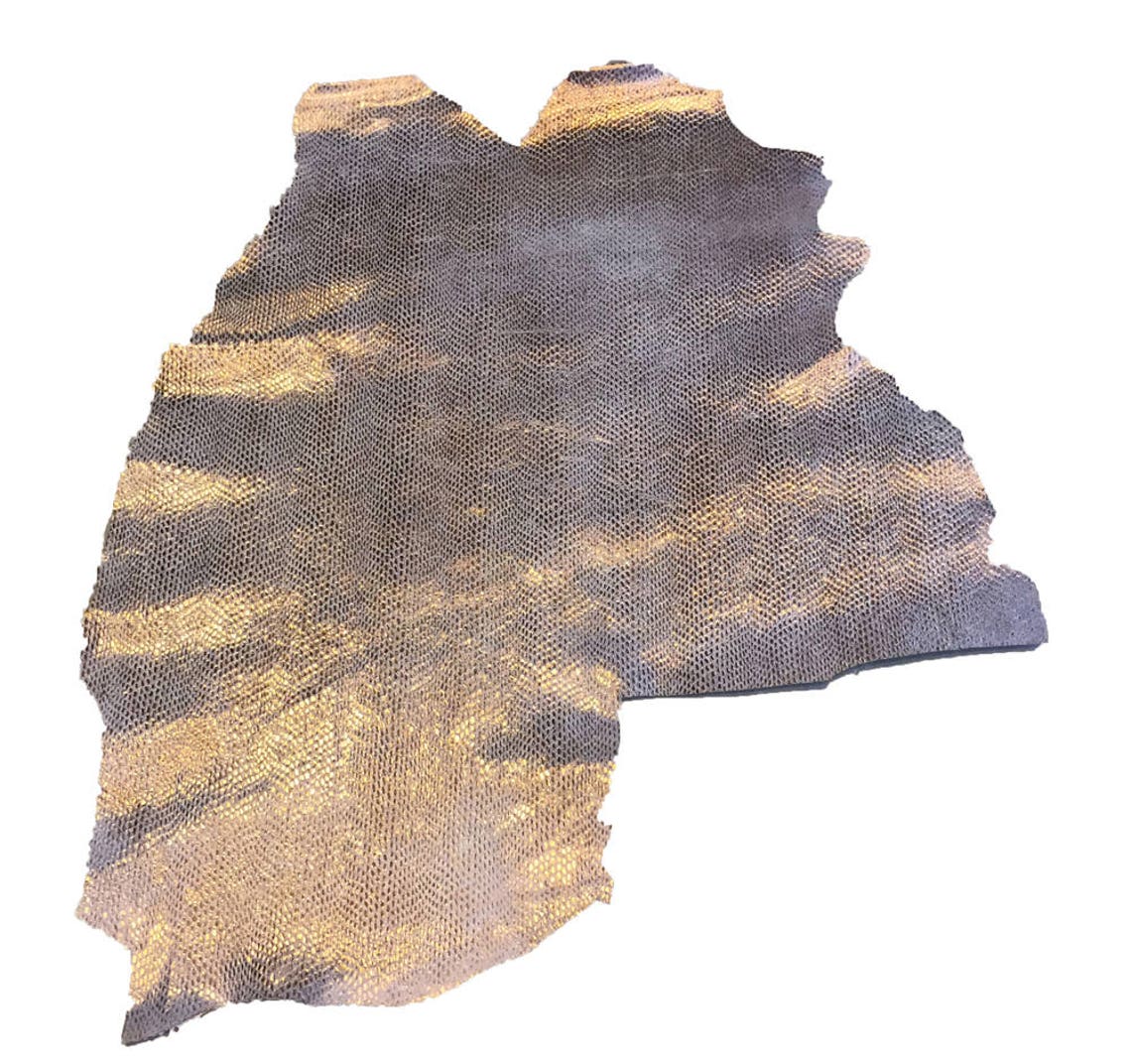Gold Finished Leather, Embossed Skin, Metallic Full Hide, Blue Tone ...