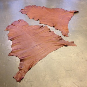 Samples of leather hides