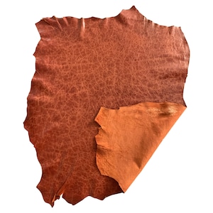 May include: A piece of reddish-brown leather with a textured surface. The leather is folded over, revealing a lighter, orange-brown underside. The edges are uneven, showing the natural shape of the material.
