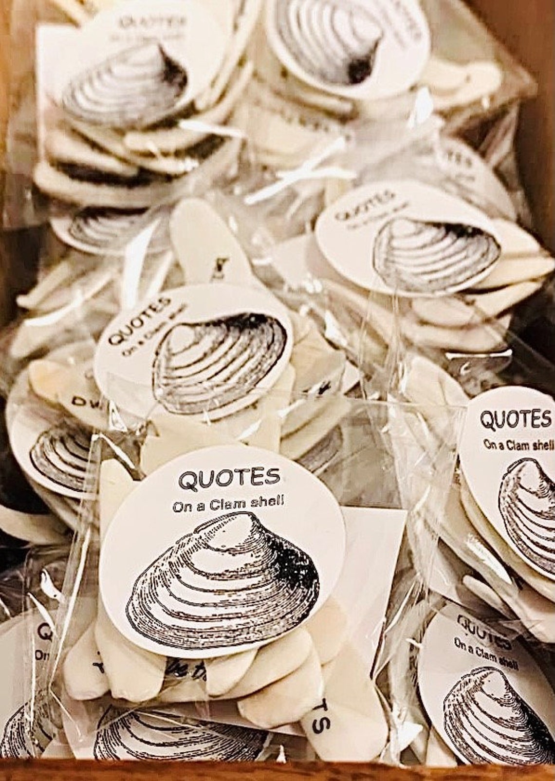 Quotes on a Clam Shell Etsy
